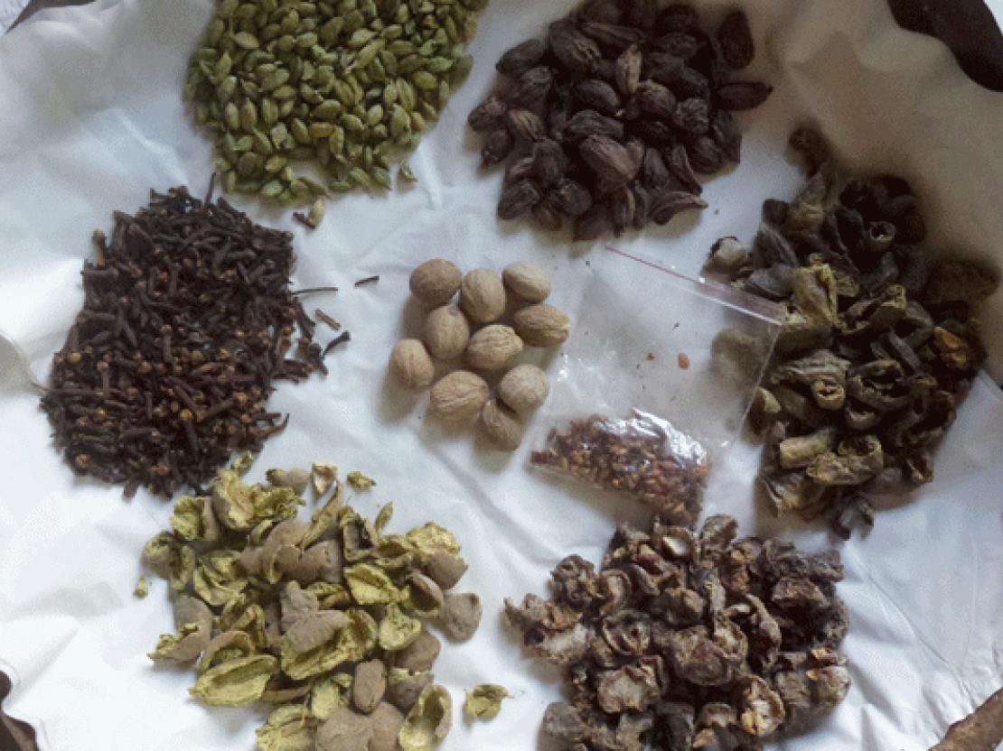 medicinal ingredients